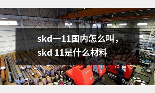 skd一11國(guó)內(nèi)怎么叫，skd 11是什么材料