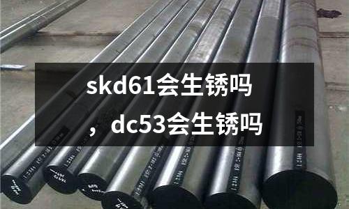 skd61會生銹嗎，dc53會生銹嗎