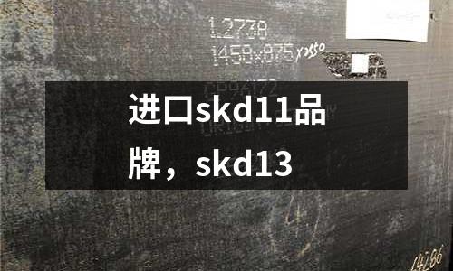 進(jìn)口skd11品牌，skd13