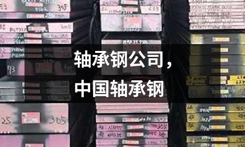 軸承鋼公司，中國軸承鋼