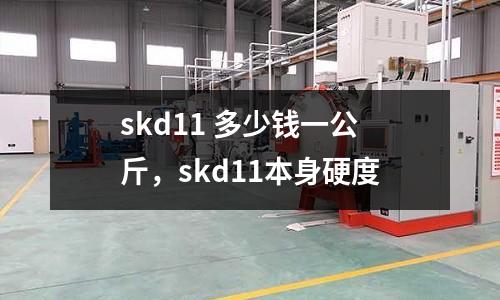 skd11 多少錢一公斤，skd11本身硬度