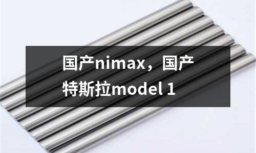 國產nimax，國產特斯拉model 1