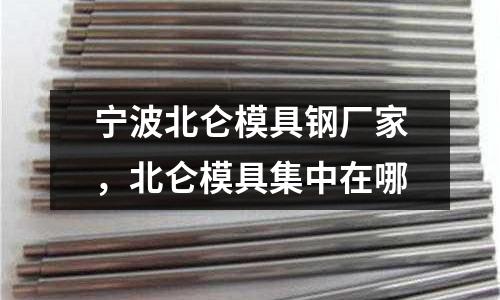 寧波北侖模具鋼廠家，北侖模具集中在哪