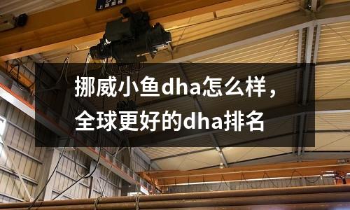 挪威小魚dha怎么樣，全球更好的dha排名