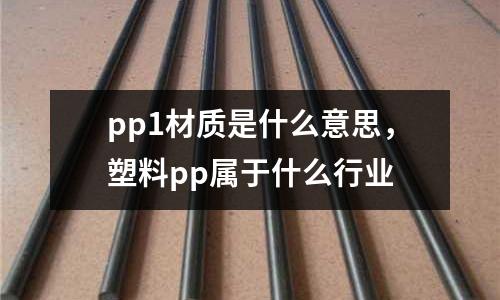 pp1材質(zhì)是什么意思，塑料pp屬于什么行業(yè)