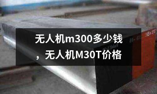 無人機m300多少錢，無人機M30T價格