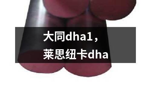 大同dha1，萊思紐卡dha