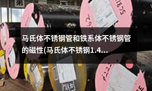 馬氏體不銹鋼管和鐵系體不銹鋼管的磁性(馬氏體不銹鋼1.4021不銹鋼化學(xué)成分)