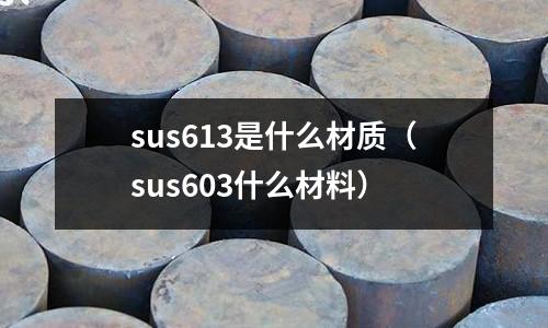 sus613是什么材質(zhì)（sus603什么材料）