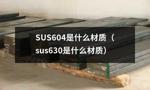 SUS604是什么材質(zhì)（sus630是什么材質(zhì)）