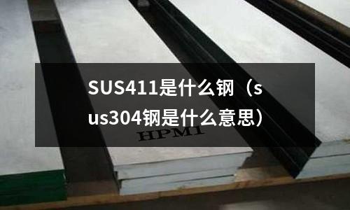 SUS411是什么鋼（sus304鋼是什么意思）