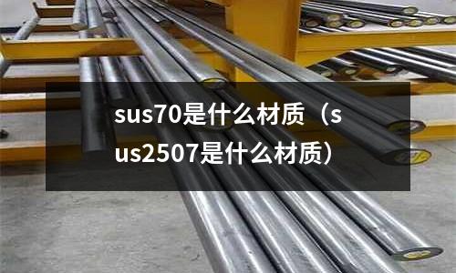 sus70是什么材質(zhì)（sus2507是什么材質(zhì)）