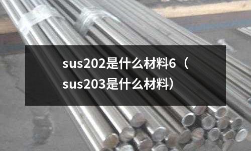 sus202是什么材料6（sus203是什么材料）