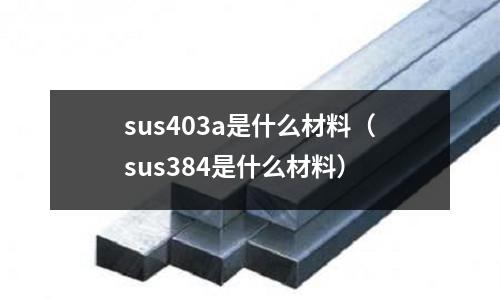 sus403a是什么材料（sus384是什么材料）