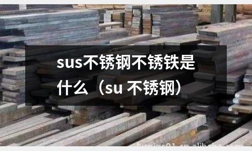 sus不銹鋼不銹鐵是什么（su 不銹鋼）