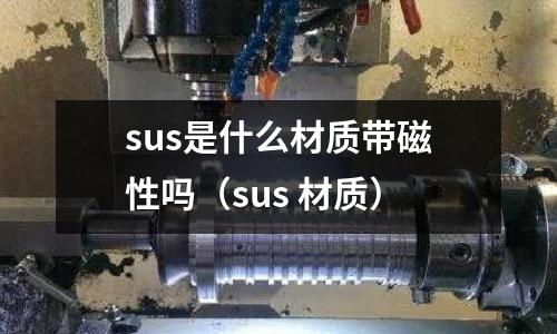 sus是什么材質(zhì)帶磁性嗎（sus 材質(zhì)）