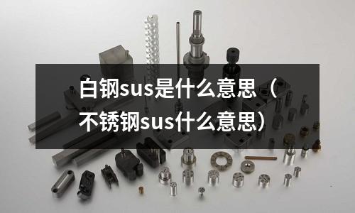 白鋼sus是什么意思（不銹鋼sus什么意思）