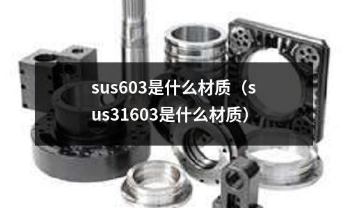 sus603是什么材質（sus31603是什么材質）