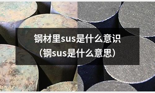 鋼材里sus是什么意識（鋼sus是什么意思）