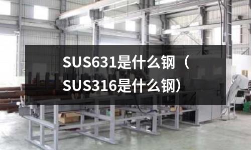 SUS631是什么鋼（SUS316是什么鋼）