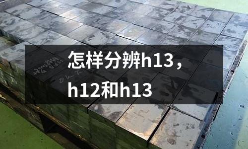 怎樣分辨h13，h12和h13