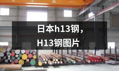 日本h13鋼，H13鋼圖片