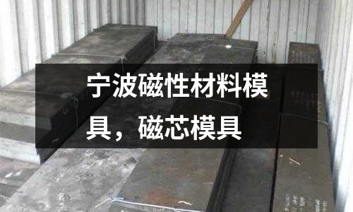 寧波磁性材料模具，磁芯模具