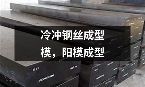 冷沖鋼絲成型模，陽模成型