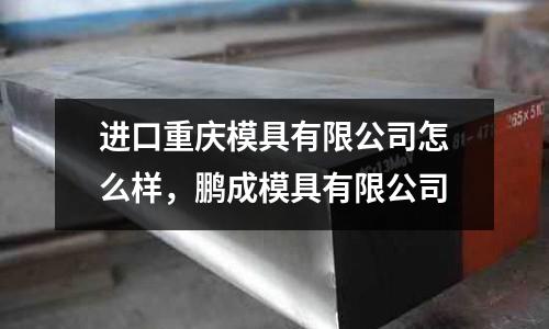 進口重慶模具有限公司怎么樣，鵬成模具有限公司