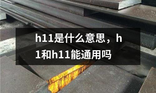 h11是什么意思，h1和h11能通用嗎