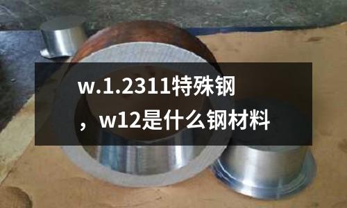 w.1.2311特殊鋼，w12是什么鋼材料