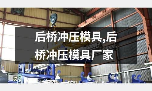 后橋沖壓模具,后橋沖壓模具廠家