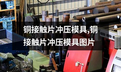 銅接觸片沖壓模具,銅接觸片沖壓模具圖片