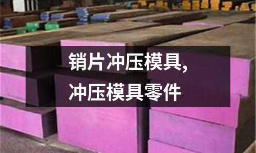 銷片沖壓模具,沖壓模具零件