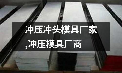 沖壓沖頭模具廠家,沖壓模具廠商