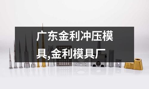 廣東金利沖壓模具,金利模具廠