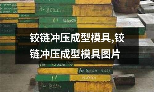 鉸鏈沖壓成型模具,鉸鏈沖壓成型模具圖片