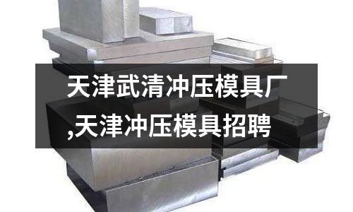 天津武清沖壓模具廠,天津沖壓模具招聘