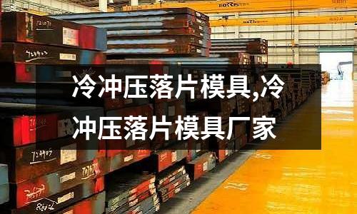 冷沖壓落片模具,冷沖壓落片模具廠家