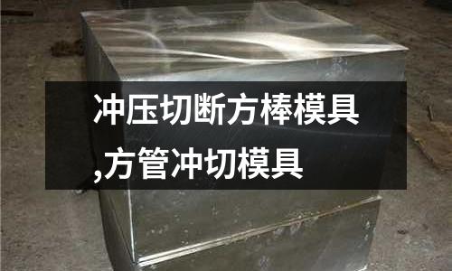 沖壓切斷方棒模具,方管沖切模具