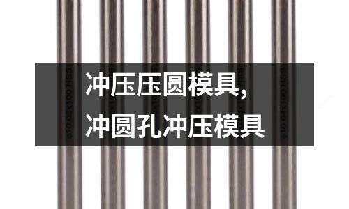 沖壓壓圓模具,沖圓孔沖壓模具