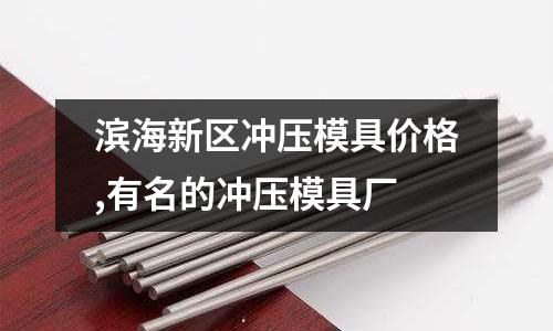 濱海新區(qū)沖壓模具價格,有名的沖壓模具廠