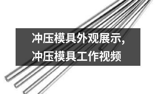 沖壓模具外觀展示,沖壓模具工作視頻