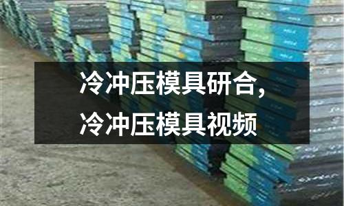 冷沖壓模具研合,冷沖壓模具視頻