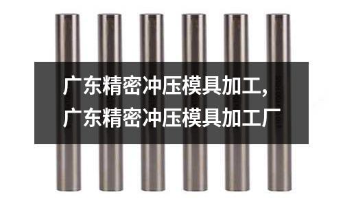 廣東精密沖壓模具加工,廣東精密沖壓模具加工廠