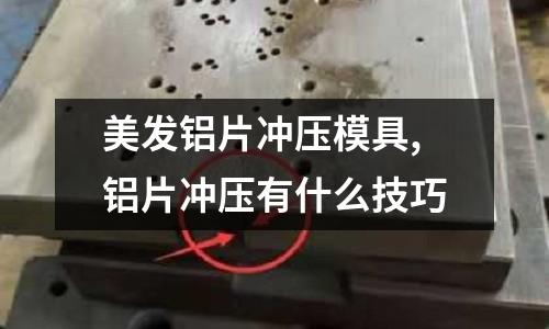 美發(fā)鋁片沖壓模具,鋁片沖壓有什么技巧