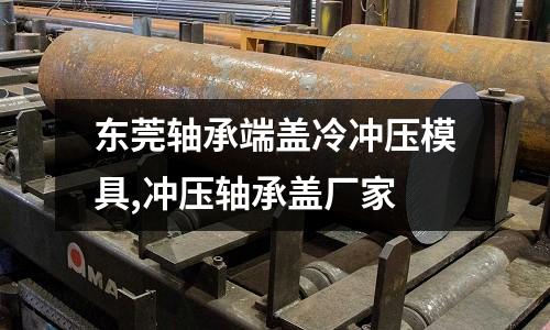 東莞軸承端蓋冷沖壓模具,沖壓軸承蓋廠家