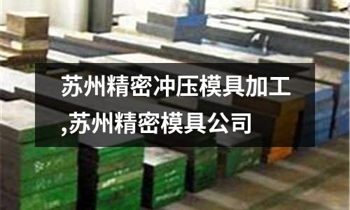 蘇州精密沖壓模具加工,蘇州精密模具公司