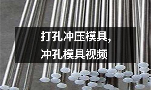 打孔沖壓模具,沖孔模具視頻