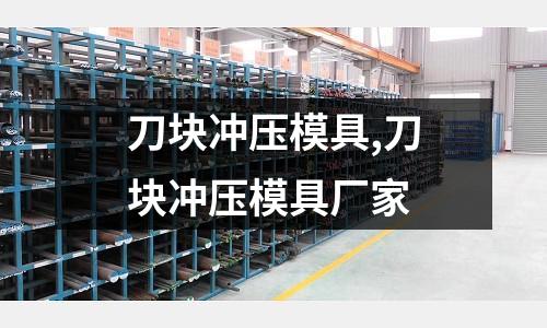 刀塊沖壓模具,刀塊沖壓模具廠家